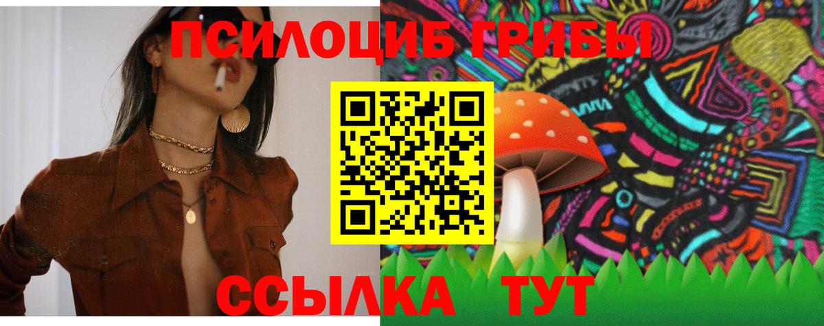 Псилоцибиновые грибы мицелий Белореченск